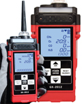 RKI Instruments GX 2012